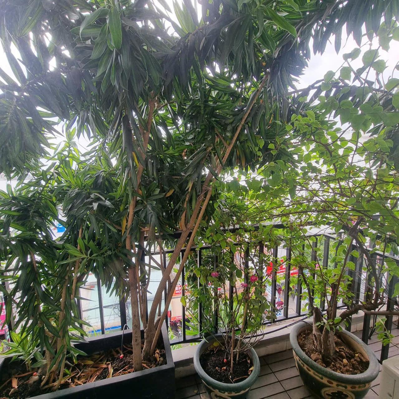 Khách sạn Ngoi Sao Phuong Nam